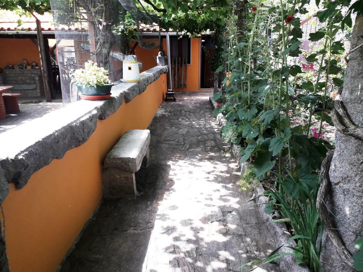 Villa Quinta Da Moagem Macedo de Cavaleiros Esterno foto